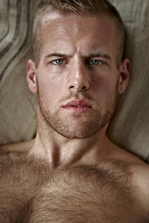 Attractive Hairy Blonde Porn - A cool hairy blonde.