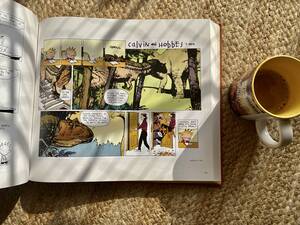 Calvin And Hobbes Porn - The Complete Calvin and Hobbes by Bill Watterson: A Book Review â€“ Ravi  Kaushik