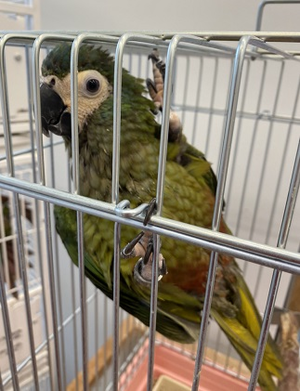 Emily Stanch Porn Amateur - ã“ã‚“ã±ã¾ã‚‹åŸ¼çŽ‰åº— - ãƒ™ã‚¿ãƒ™ã‚¿ã‚¢ã‚«ãƒãƒ©ã¡ã‚ƒã‚“