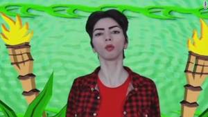 Banned Porn Flat Chest Cartoon - The videos YouTube shooter posted online