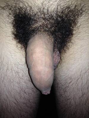 hairy uncut - Big Hairy Uncut Softie - Amateur Straight Guys Naked - guystricked.com