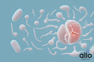 girls masturbation in panties - Understanding Vaginal Discharge During Masturbation | Allo Health