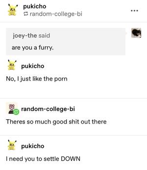 Bisexual Porn Quotes - Furry porn : r/tumblr