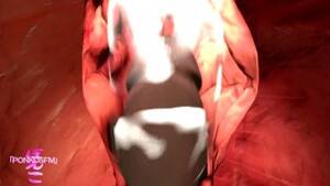 3d X Ray Porn - x ray Archives - SFM Porn - 3D Porn Rule 34 Videos