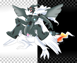 Legendary Pokemon Zekrom Porn - Pokemon Zekrom And Reshiram Wallpaper | Hot Sex Picture