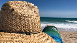 naked sunbathing beach house florida - Editorial: Naked places and open spaces - The Gila Herald