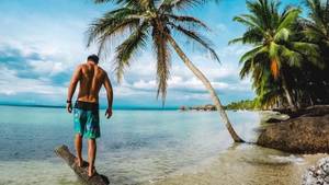 Gopro Lesbian - dancing bear porn review Tagged with free pc sex games funny jokes