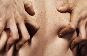 brazilian nude beach - More sex, please! We are Brazilian - brazzil