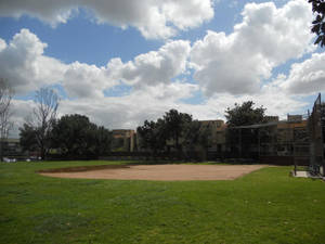 black british porn stars melvina rague - park