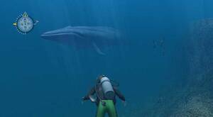 Endless Ocean Porn - Endless Ocean Review | Trusted Reviews