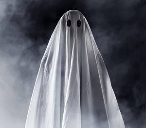 Black Market Porn - Bitcoin on Twitter: \