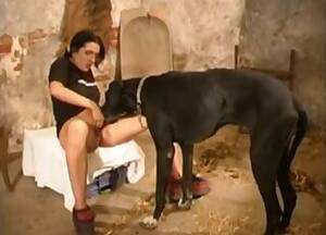 Djur - Dam Porr Videoklipp / Ã¤ldre kvinnor och djur xxx / PopulÃ¤ra Sida 1