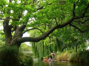 New Zealand Nature Porn - It's a beautiful world