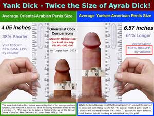 Average Size Penis Porn - Average Size Cock - Sexdicted