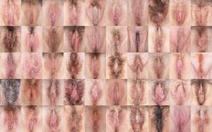 black pussy pink clit - Me and my vulva: 100 women reveal all | Sex | The Guardian