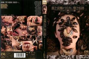 Japanese Genki Porn - Why must the Japanese do everything better than us : r/WTF