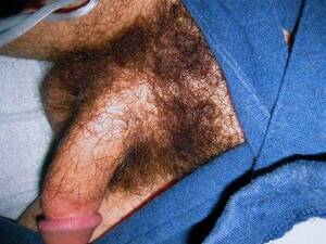 hairy cock shaft - Hairy Cock Shaft - XXGASM
