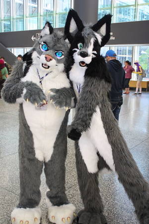 Furries Sex Convention - 