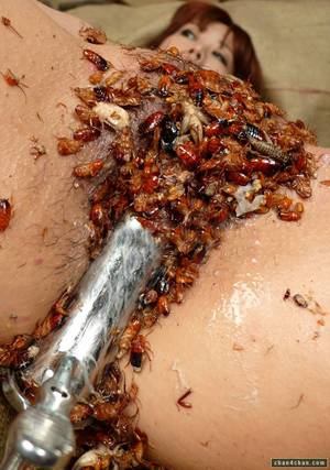 gross jav porn - Insect/Bug J-porn, anyone?  http://www.elog-ch.com/news/archives/2009/03/07153130.html