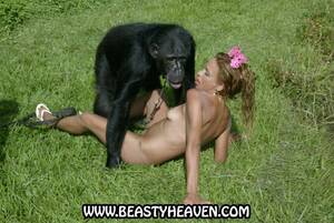 Monkey Porn Videos - Mobile video monkey with woman porn
