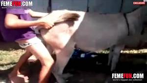 Extreme Hardcore Porn Bestiality - [Porno With Donkey] Man fucking donkey on animal sex scene
