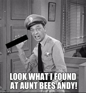 Aunt Bee Porn - dirty_jokes aunt bees Memes & GIFs - Imgflip