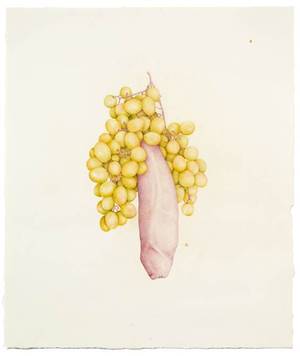 Fruits - A Different Type Of Food Porn: Aurel Schmidt Draws Fruit And Vegetables  With Genitals