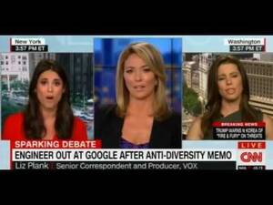 Cnn Brooke Baldwin Pussy - CNN's Brooke Baldwin has no problems slandering James Damore on-air but  freaks out over hearing the word \