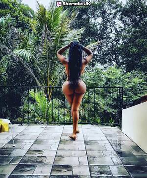 dominican shemale photo galleries - TsJazlyn DOMINICAN HUNG from London - Shemale.UK