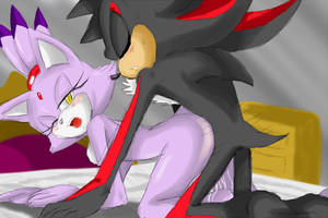 Blaze The Cat Furry Porn - 