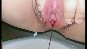 free virgin pussy - virgin HD Porn Videos - Free Pussy Videos - Pussy.org