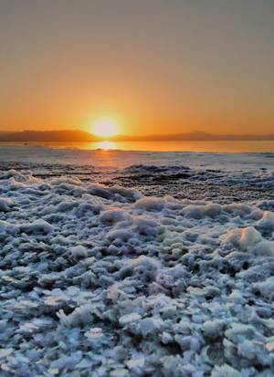 Iran Shore Porn - Salt crystals on Urmia lake, the third biggest salt lake in the world, Iran