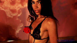 free sex cam 4 adult amateurs - Interested In Live Sex Cowgirl Playing With Big Cock Exhibit In Cam Hot Sex  Mature Couple Amateur - Cam4 - Free Porn Videos - YouPorn