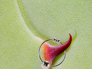 Lesbian Forced Orgasm Tumblr - 15 Best Nipple Clamps of 2024 - How to Use Nipple Clamps