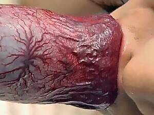 Doggie Cock - Dog Cum Porn