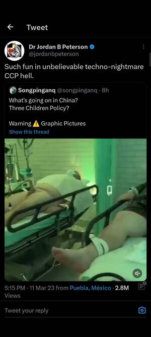 Asian Forced Milk Porn - What is the deal with Jordan Peterson tweeting about a \