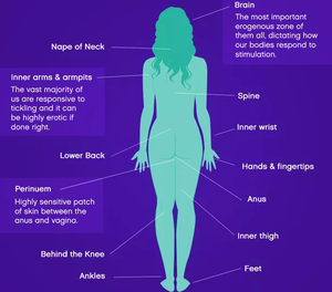 anal sex pleasure points - The 25 orgasm-inducing pleasure points on the female body to touch during  sex - Daily Star