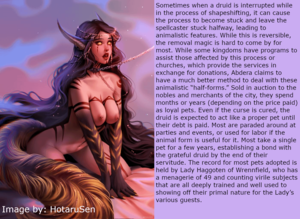 Animal Fantasy Porn Caption - Fantasy 05: Helpful Shapeshifting Mishap Program [Image by: HotaruSen]  [Female] [Animal Girl] [Elf] [Pet Play] [Implied Sex] [Indentured  Servitude] : r/hentaicaptions