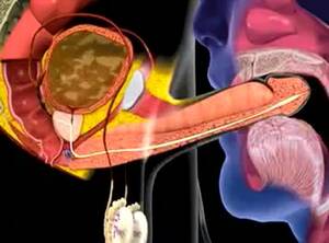 animation cum in mouth - Its.PORN - Cum in mouth animation