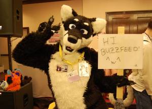 Furry Convention Extreme Adult Porn - Why, hello, furry friend.