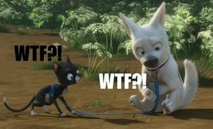Funny Disney Porn - Disney's Bolt Funny Pictures images WTF?! wallpaper and background photos