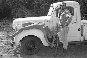 Deer Hunting Porn - Chubby Body The blonde and curvy bbw realtor like to fuck in every house  she tries to sell. How many presidents do you think have watched or looked  at porn ...