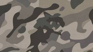 Adult Gay Military Porn - The family secretâ€: how rape is hushed up in Britain's armed forces | The  Economist