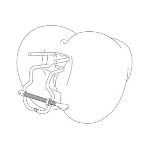 Gay Anal Sex Drawings - Adjustable Vaginal Anal Dilator Gay Anus Expansions Devices Stainless Steel  Butt Ass Speculum Extreme Porn Sex Toys For Couple - #1 Best Realistic Sex  Dolls Online â¤ï¸ Buy Real Sex Love Doll