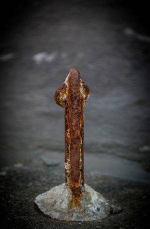 Bizarre Human Sex Organs - 2The man who's had a decade-long erection