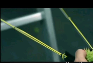 chestnut painful anal - Looks like fun : r/Unexpected