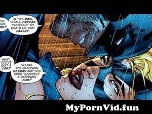 Black Canary And Batman Porn - Batman And Black Canary Smooch from sex image on black conary and green  arrow Watch Video - MyPornVid.fun