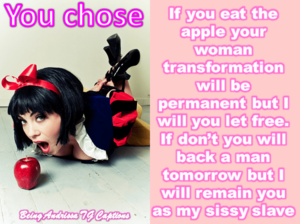 Cat Porn Captions - Cat Transformation Caption