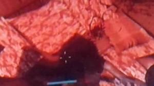 Dead Island Porn Easter Eggs - 