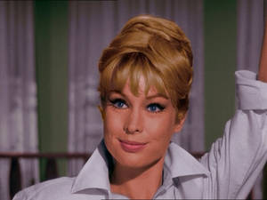 Barbara Eden Nude Porn Files - That is how you make an entrance. Hasta la pasta, brunette.